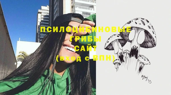 синтетический гашиш Новодвинск
