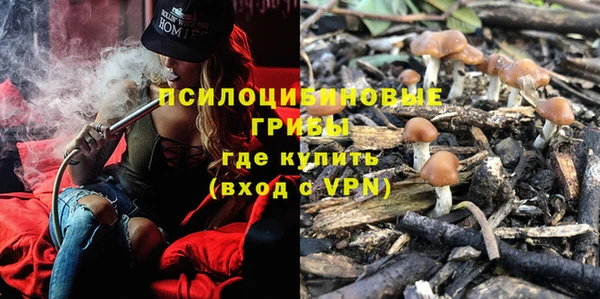 спиды Киселёвск