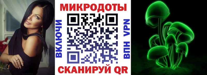 Псилоцибиновые грибы MAGIC MUSHROOMS  нарко площадка как зайти  Чкаловск  купить наркотики сайты 